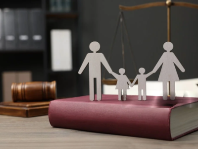 Child Custody & Guardianship L